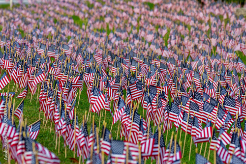 Field of Flags - American Stars and Stripes Everywhere