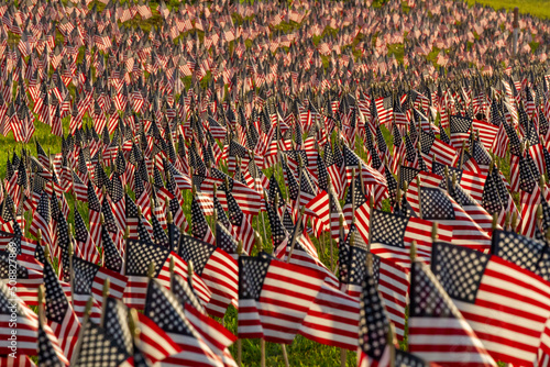 Field of Flags - American Stars and Stripes Everywhere