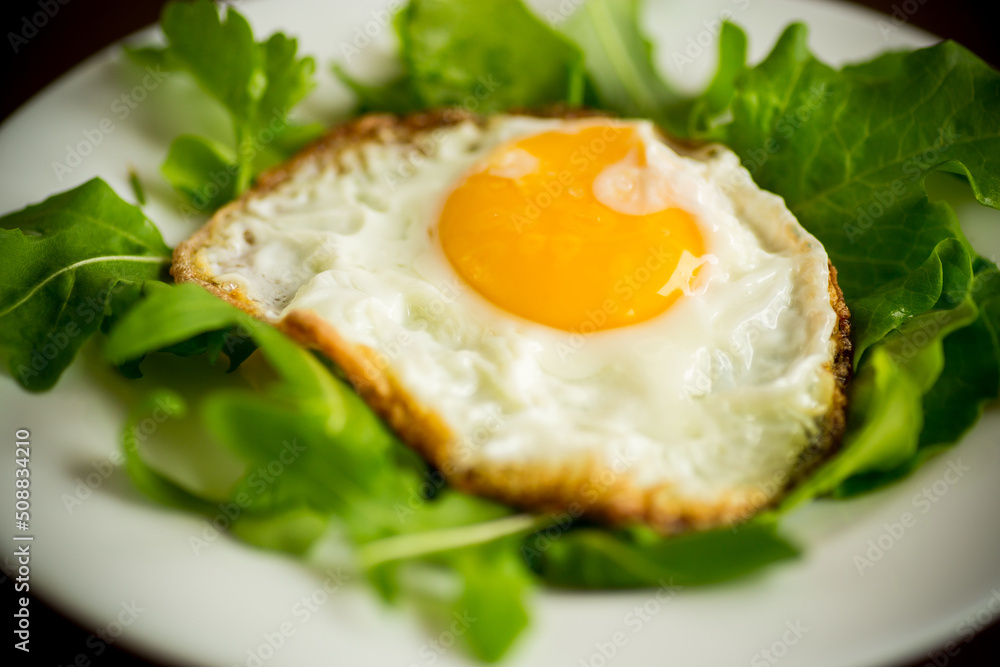 one fried egg with arugula and lettuce in a plate one fried egg with arugula and lettuce in a plate