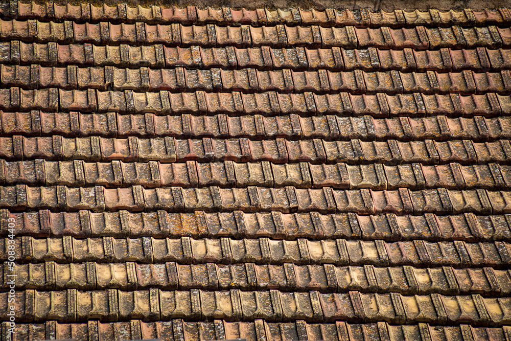 Old, weather-worn roof tiles creating a smooth, geometric texture Old, weather-worn roof tiles creating a smooth, geometric texture