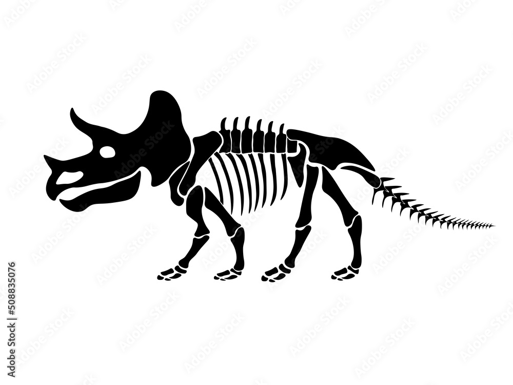 Vector illustration with dinosaur skeleton isolated on a white background. Vector illustration with dinosaur skeleton isolated on a white background.