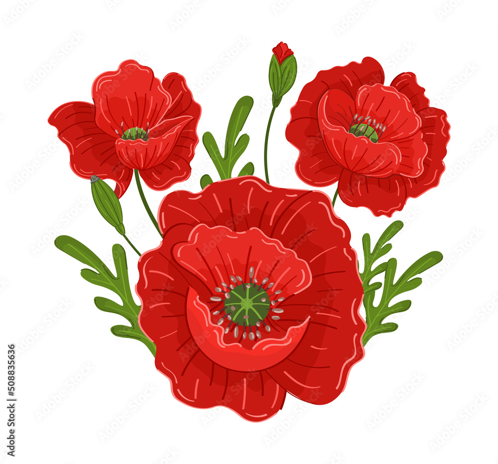 Vector bouquet with red poppies on a white background. Beautiful summer flowers. You can use design for cards, wedding invitations, greeting cards, gift boxes, package design, covers, posters.