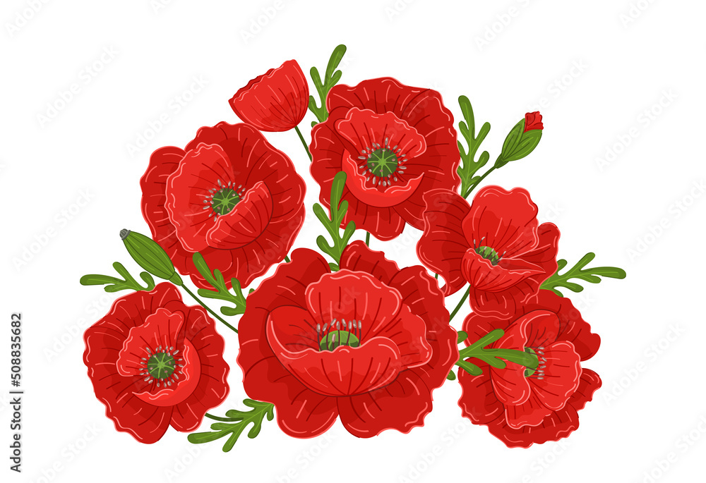 Vector bouquet with red poppies on a white background. Beautiful summer ...