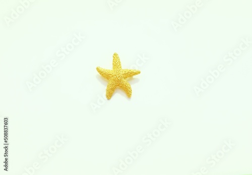 Canvas Print Sea star animal figural art brooch pin vintage costume jewelry fashion accessory