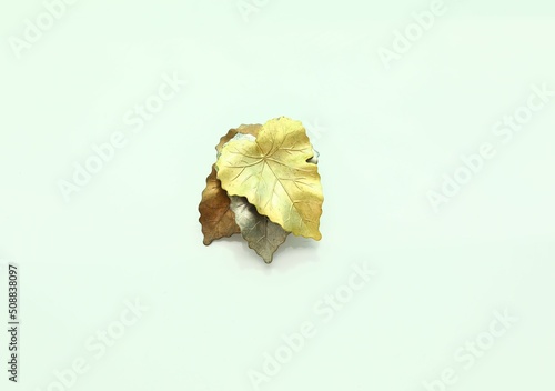 Fotografering Gold tone detailed leaf leaves brooch pin vintage costume jewelry fashion access