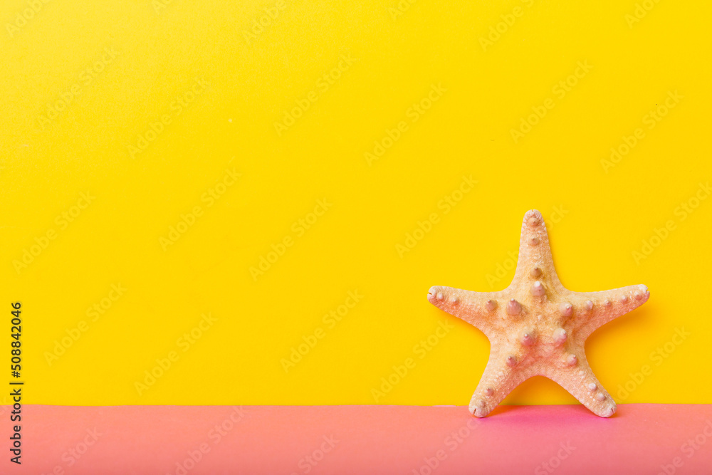 Beach seashells on colored background. Mock up with copy space Beach seashells on colored background. Mock up with copy space