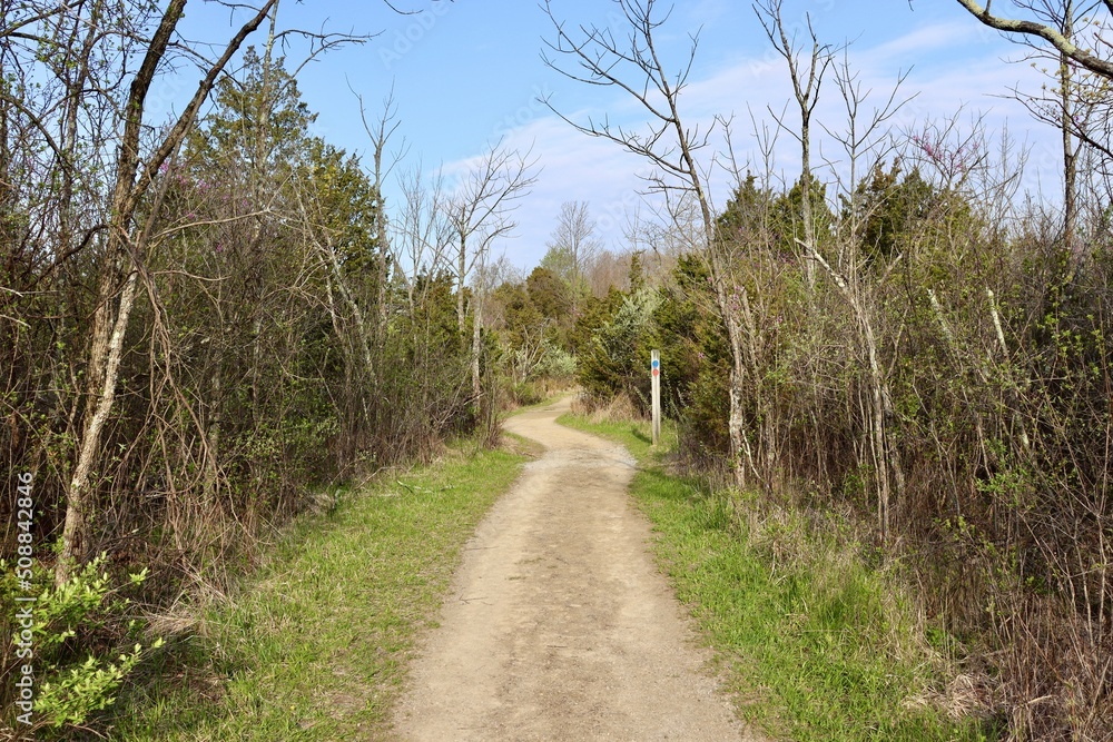 The long hiking trail in the country on a sunny day.