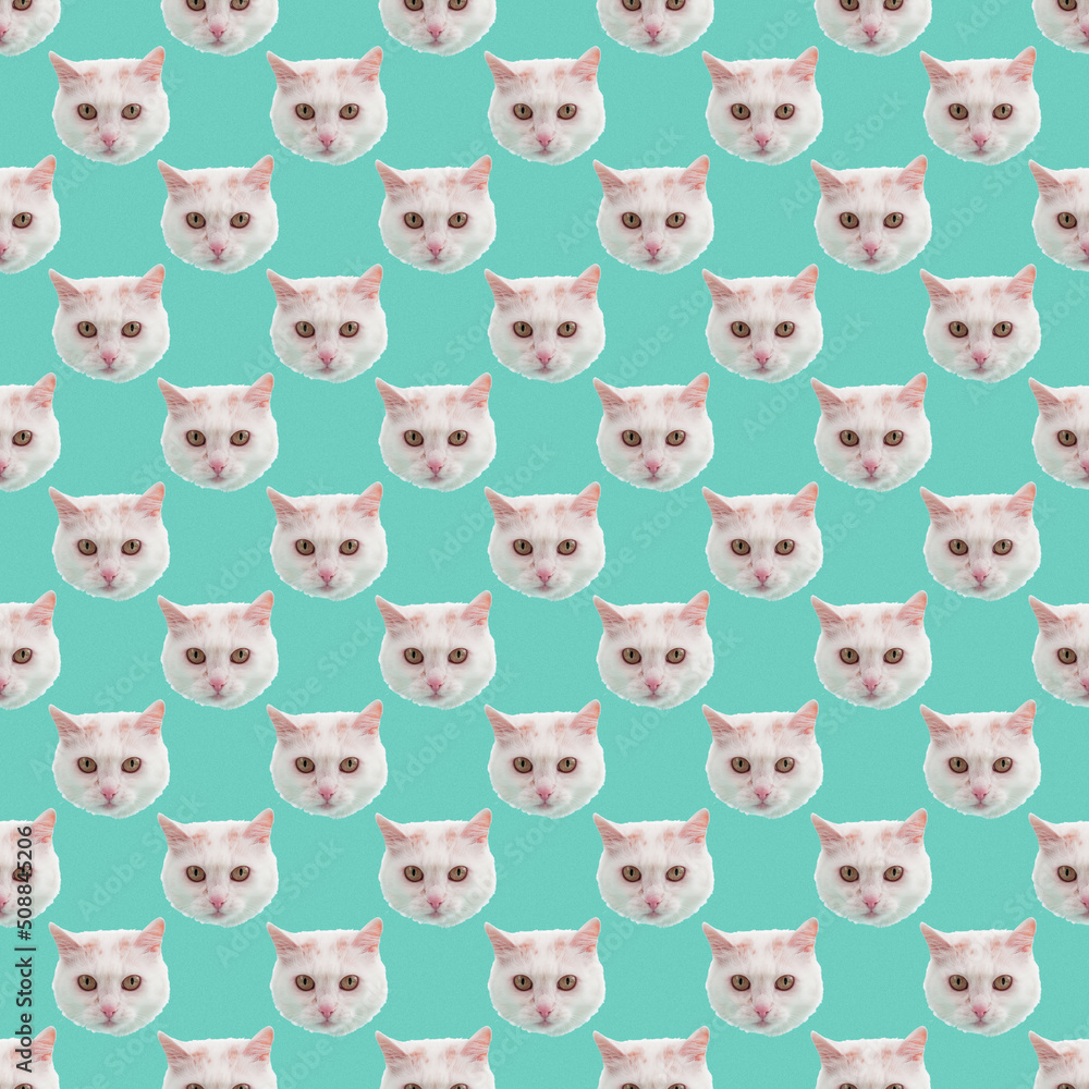 The muzzle of a white fluffy cat peeking out of a hole in green background. The muzzle of a white fluffy cat peeking out of a hole in green background.