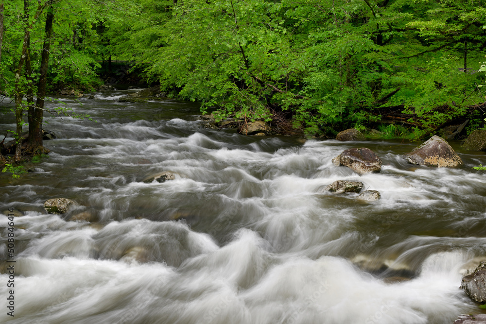 Cascades in the Middle prong of the Little Pigeon River in Great Smoky Mountains, TN, USA in early springtime