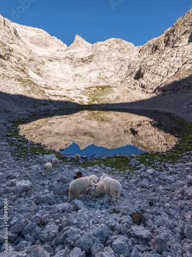 Kriski Podi in the heart of the Julian Alps mountains in Slovenia