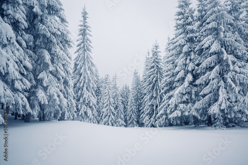 Magical frosty day and snowy coniferous forest. Carpathian mountains, Ukraine, Europe. © Leonid Tit