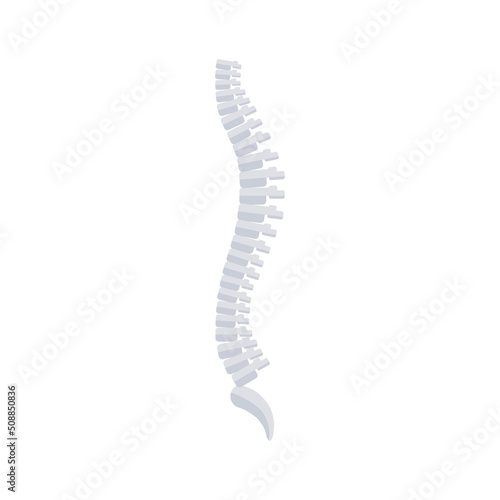 Spine flat icon isolated on white background. Vector illustration. Backbone symbol, chiropractic clinic sign, back vertebrae, spinal cord. Human anatomy logo