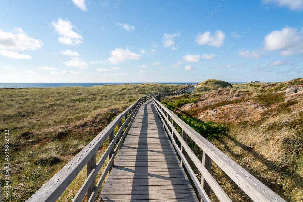 Fototapeta premium Walking trail along the dunes, North Sea coast, Sylt, Schleswig-Holstein, Germany