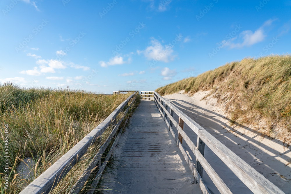 Pathway through the dunes, North Sea coast, Sylt, Schleswig-Holstein, Germany Pathway through the dunes, North Sea coast, Sylt, Schleswig-Holstein, Germany
