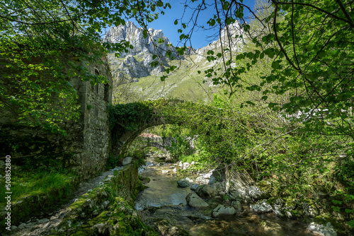 Fototapeta Naklejka Na Ścianę i Meble -  Old bridge in the river Duje. Tielve. Asturias. Spain