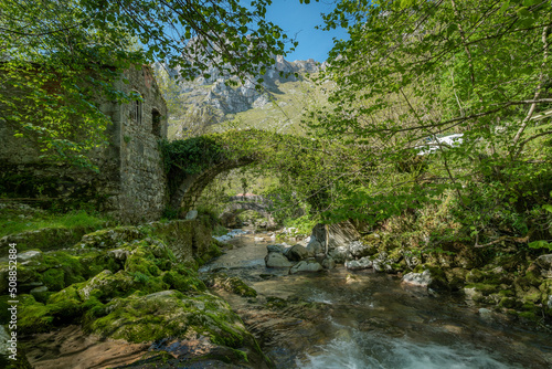 Old bridge in the river Duje. Tielve. Asturias. Spain