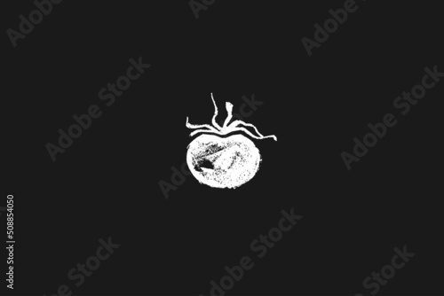 Black tomato symbol. Tomatoes vector coal drawing. Organic tomato Illustration for seed label, packaging design catchup, banner farmers market. Vegetarian food icon for logo restaurant design or badge
