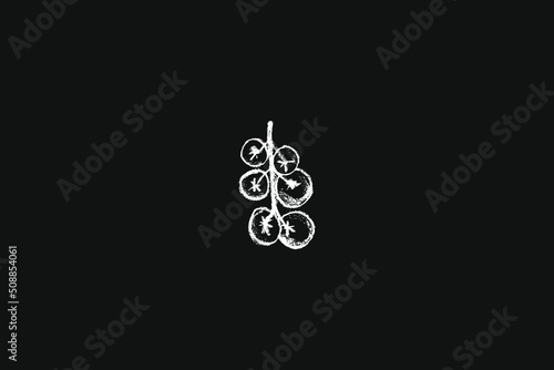 Black tomato symbol. Tomatoes vector coal drawing. Organic tomato Illustration for seed label, packaging design catchup, banner farmers market. Vegetarian food icon for logo restaurant design or badge