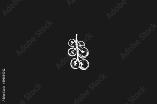 Black tomato symbol. Tomatoes vector coal drawing. Organic tomato Illustration for seed label, packaging design catchup, banner farmers market. Vegetarian food icon for logo restaurant design or badge