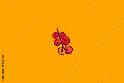 Red tomato symbol. Tomatoes vector coal drawing. Organic tomato Illustration for seed label, packaging design catchup, banner farmers market. Vegetarian food icon for logo restaurant design or badge.