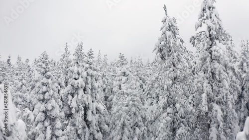 Winter in Greece mountain forest 4K Full HD aerial footage