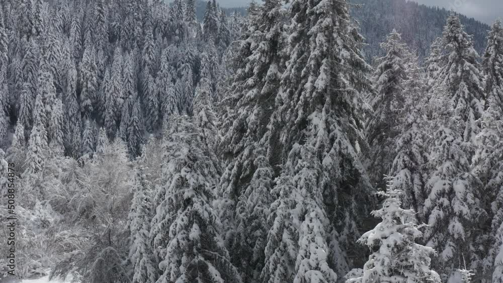 Winter in Greece mountain forest 4K Full HD aerial footage Winter in Greece mountain forest 4K Full HD aerial footage