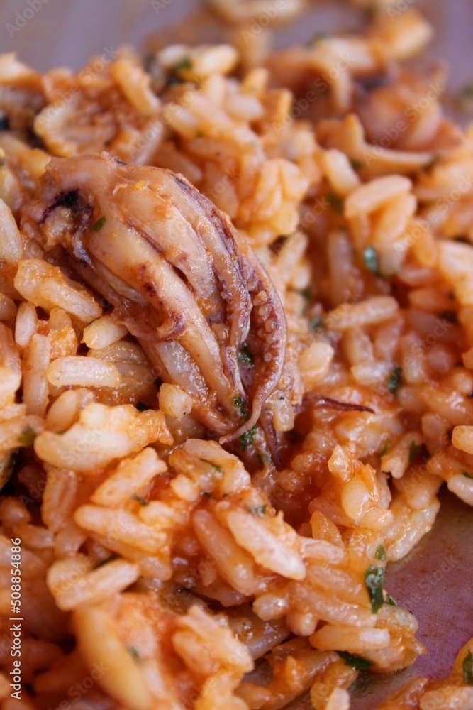 Risotto mit Meeresfrüchten. Nahaufnahme. Risotto mit Meeresfrüchten. Nahaufnahme.