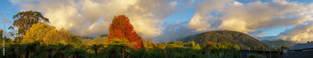 Obraz premium Fox landscape at sunset