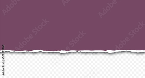 Torn a half sheet of color paper from the bottom isolated on transparent background. Template paper design. Realistic vector illustration