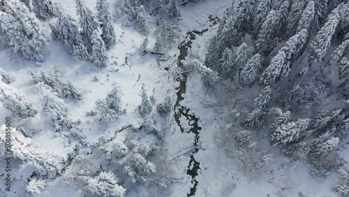 Winter in Greece mountain forest 4K Full HD aerial footage