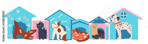 Animals shelter and pets adoption banner layout. Finding new house for pet and homeless domestic animals care, flat vector illustration isolated on white background.