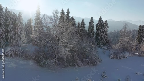 Winter in Greece mountain forest 4K Full HD aerial footage