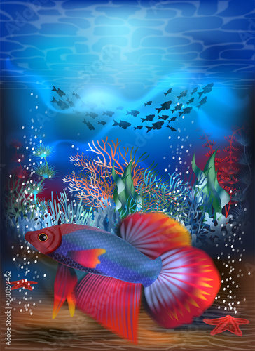 Underwater card with tropical siamese fighting fish, vector illustration