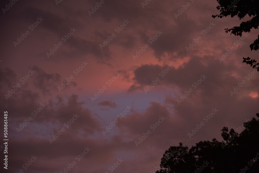 Fototapeta premium Stormy sunset tree silhouettes