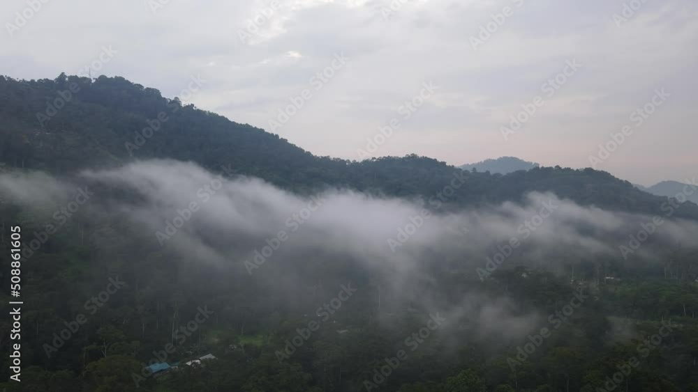 Drone shot misty over plantation near the hill area Drone shot misty over plantation near the hill area