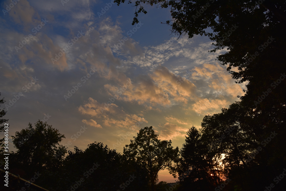 Obraz premium Bright Sunset Silhouette 