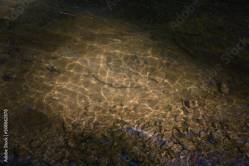 sunlight in the shaded water