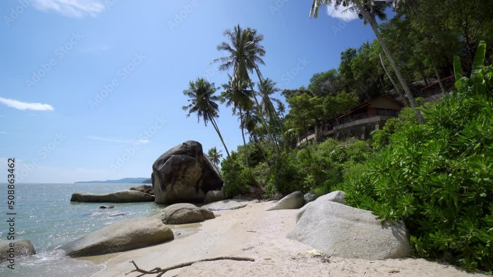 Tilt up the coconut trees and hut near the beach Tilt up the coconut trees and hut near the beach