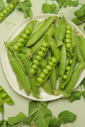 Freshly harvested organic green peas on the table