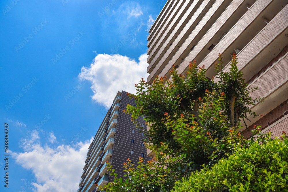 Obraz premium 青空 新緑 マンション