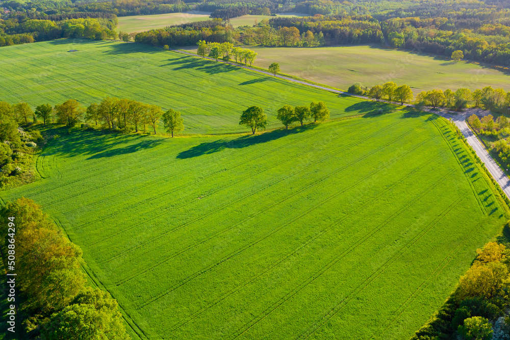 View from a height of green fields and trees, summer nature