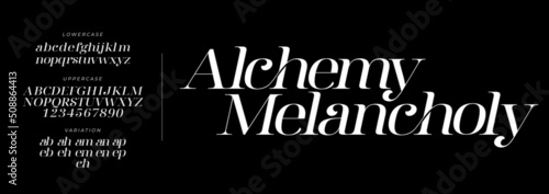Elegant Font Uppercase Lowercase and Number. Classic Lettering Minimal Fashion Designs. Typography modern serif fonts regular decorative vintage concept. vector illustration