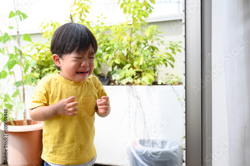 2歳のイヤイヤ期 photo