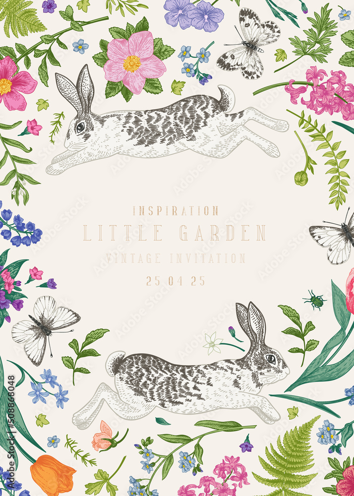 Vector frame with two rabbits Vector frame with two rabbits