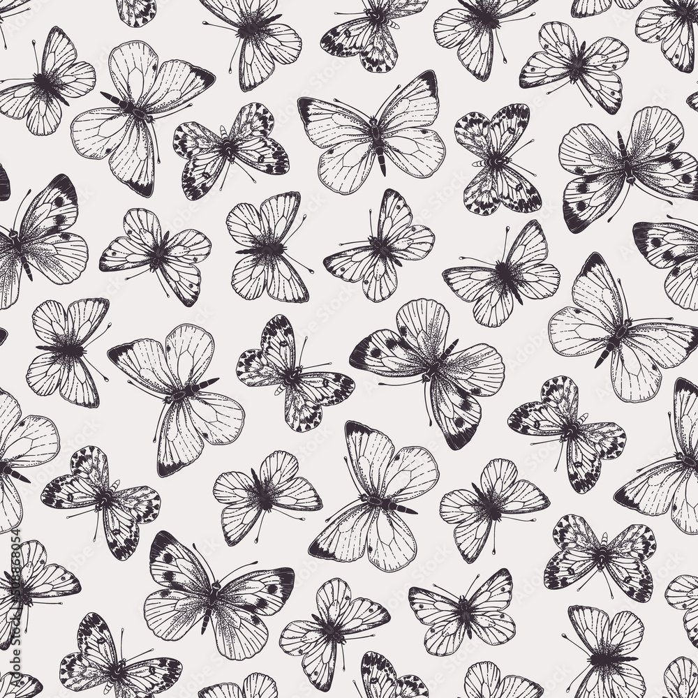 Fototapeta premium Seamless pattern with butterflies.