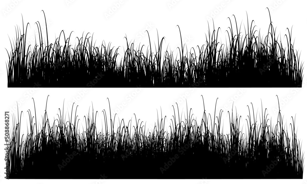 custom made wallpaper toronto digitalgrass silhouette, grass black white
