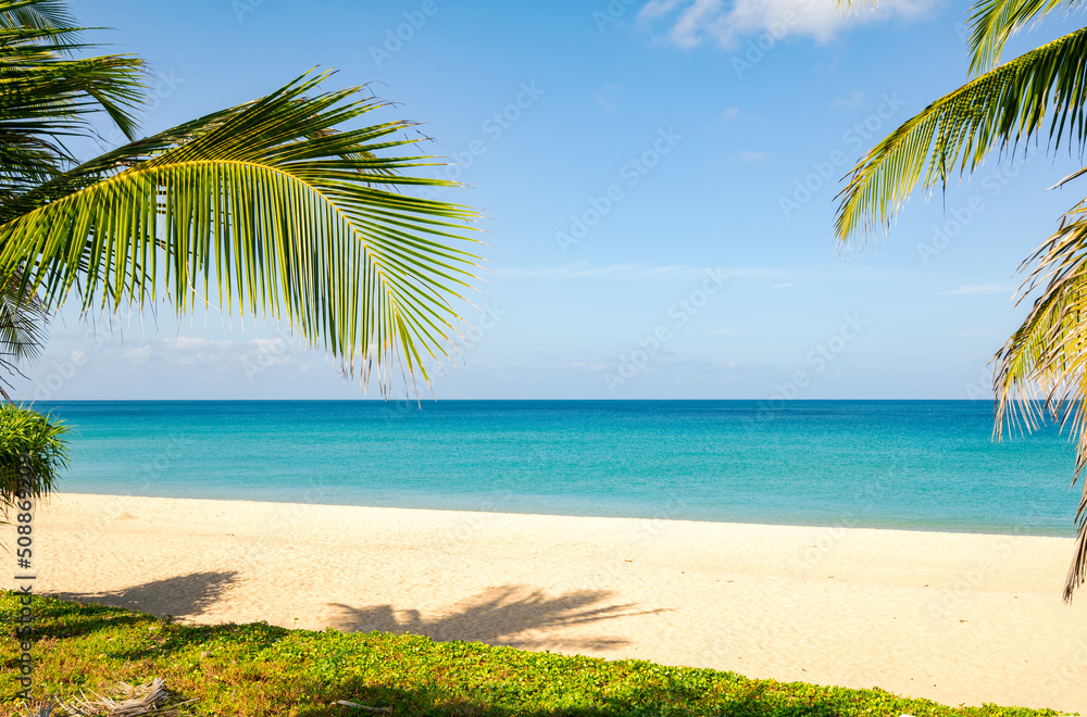 Amazing beautiful Phuket beach with coconut palm trees Thailand Landscapes view of sand beach sea and clear blue sky in summer season At Beach Phuket Thailand