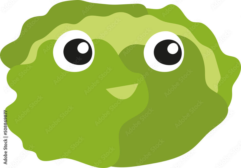 Fototapeta premium cabbage