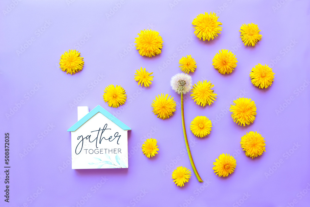 Obraz premium Yellow dandelion flowers and white fluffy dandelion figure of a house on a lilac background. Color of the year 2022. 