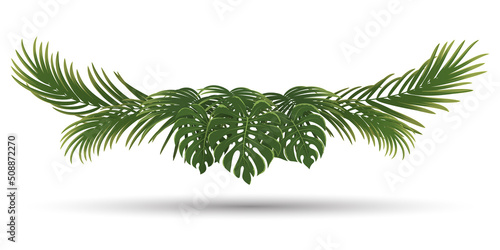 palm leaves frame  green nature leaf border